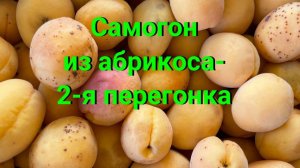 Самогон из абрикоса 2-я перегонка