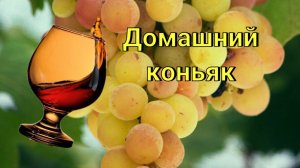 Домашний коньяк