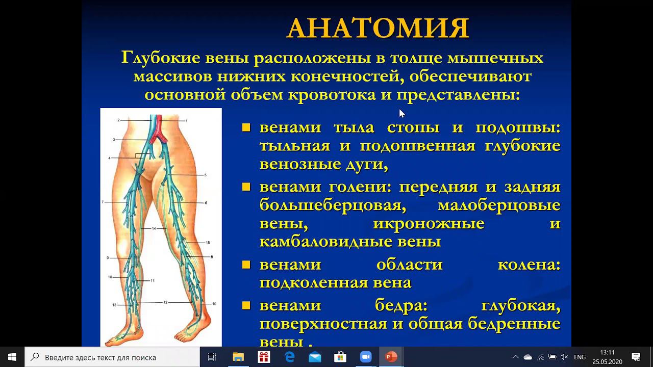 УЗД Заболеваний вен нижних конечностей ч1 Ерошенко О Л