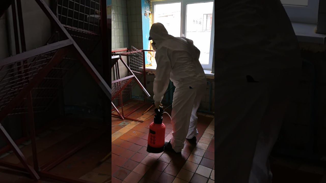 Обработка пищеблока от тараканов