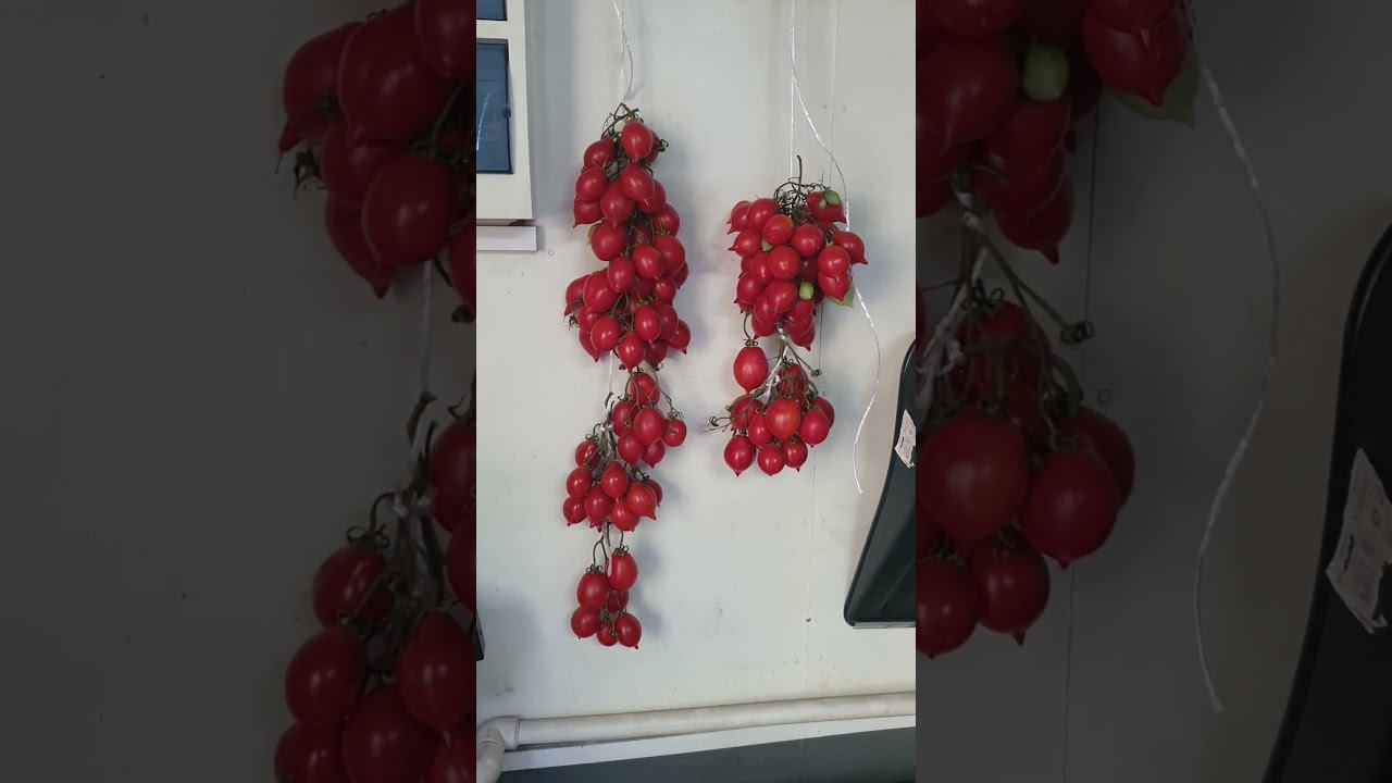 Хранение Пьенолло дель везувио. смотреть онлайн