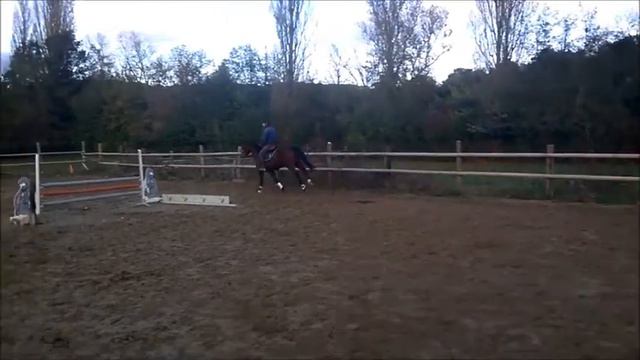 FLORÜBY 7 ANS PAR FLORESTAN I смотреть онлайн