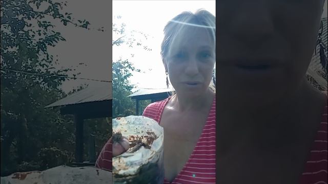 Кто узнал себя? 🤦♀️дела житейские в глухой деревне