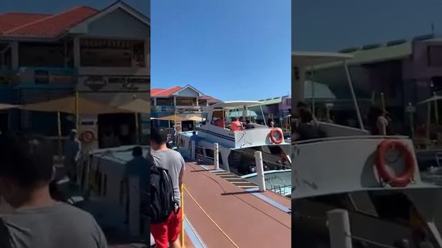 Belize Cruise Port (Sky Princess Cruise VLOG) смотреть онлайн