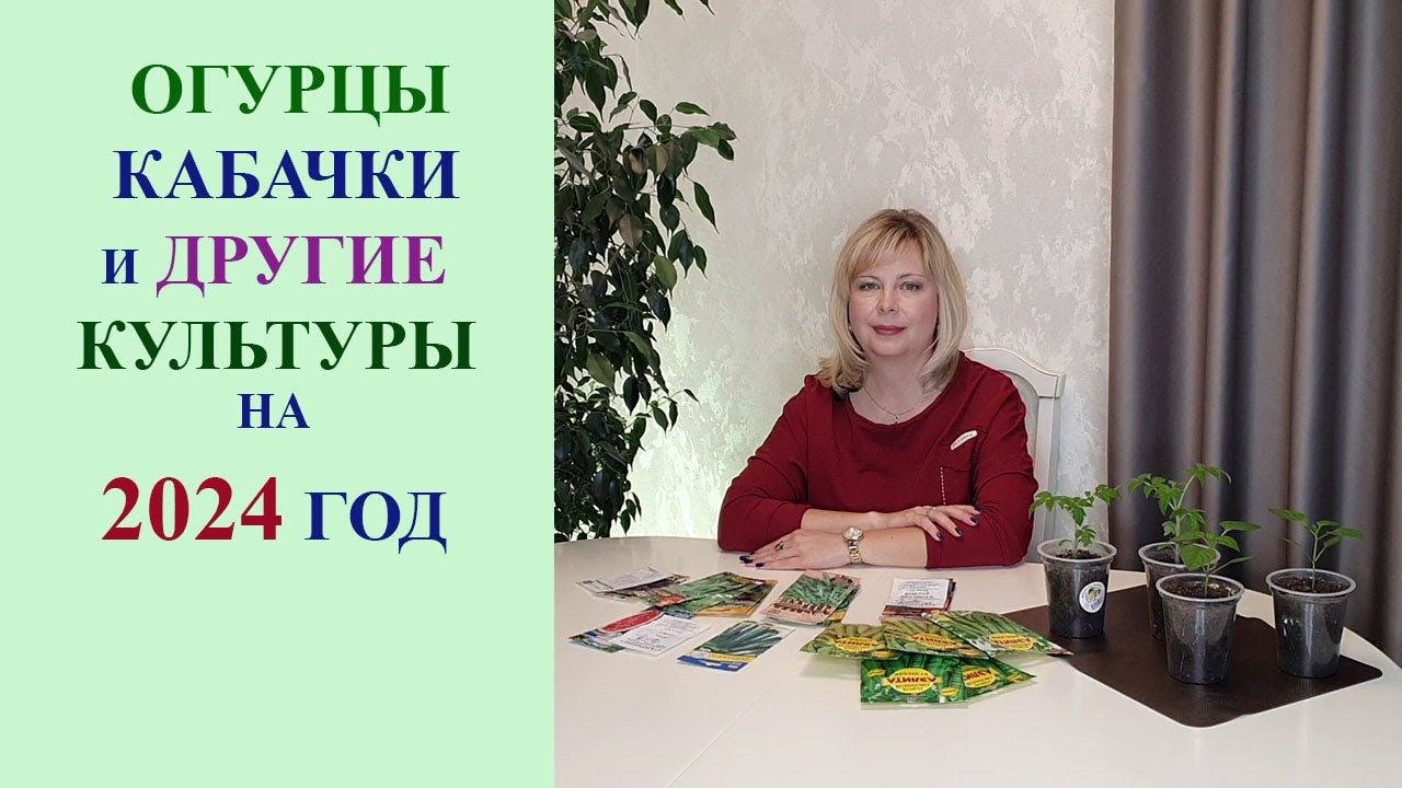 ОГУРЦЫ, КАБАЧКИ, ЗЕЛЕНЬ, БОБОВЫЕ И ДРУГИЕ КУЛЬТУРЫ НА 2024 ГОД. смотреть онлайн