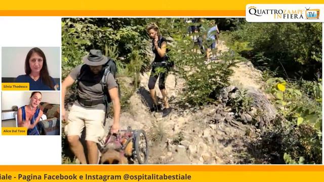 Quattrozampeinfiera TV - Puntata del 15 Luglio 2020 смотреть онлайн