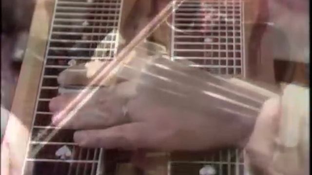 Loretta Lynn - In The Garden смотреть онлайн