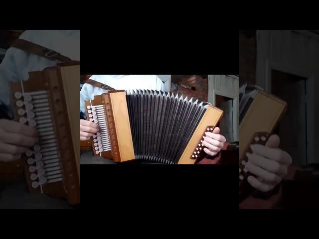 Лаванда(разбор на гармони). Демо. смотреть онлайн