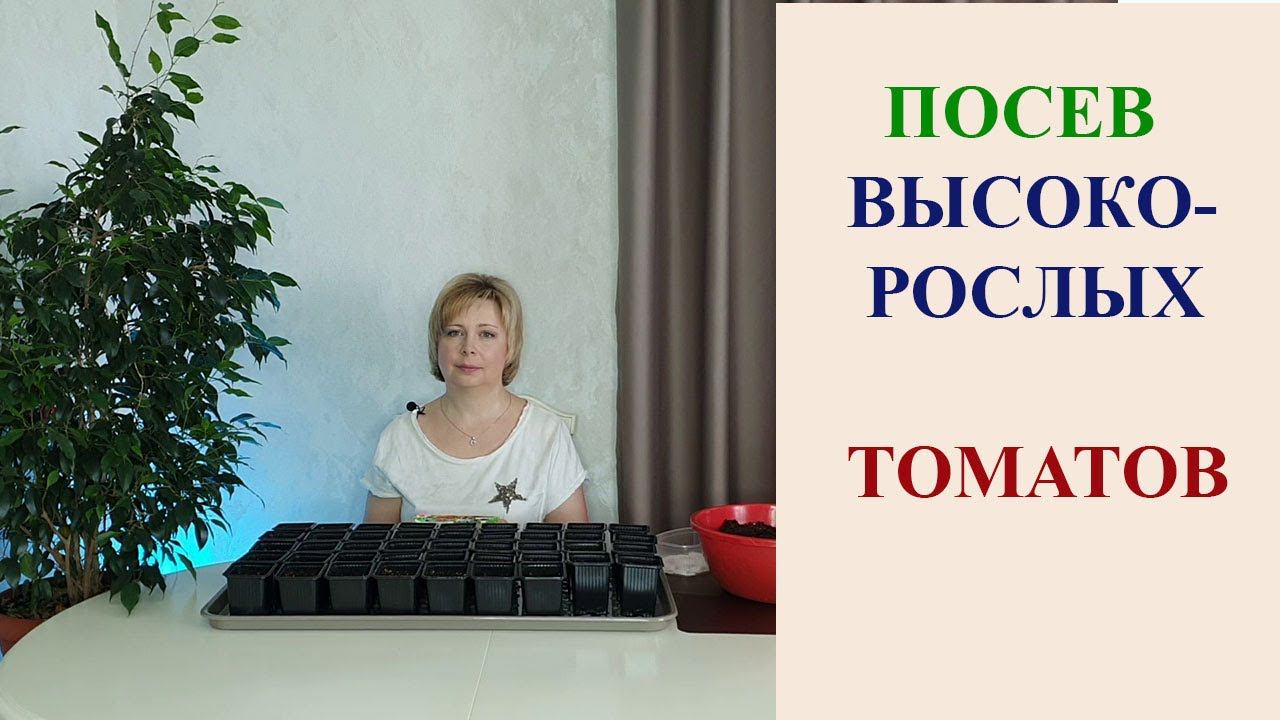 ПОСЕВ ВЫСОКОРОСЛЫХ ТОМАТОВ. смотреть онлайн