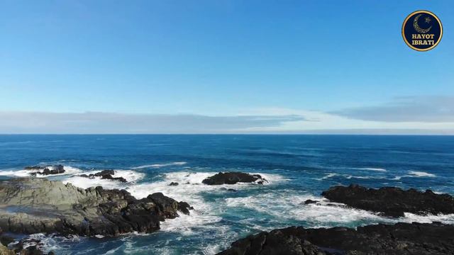 QURONNI TEZ VA OSSON YODLASH USULI | SHAYX MUHAMMAD SODIQ MUHAMMAD YUSUF #IYMON_GAVHARI