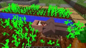 смешные моменты компота