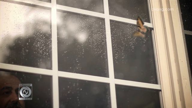 Sattar - Parvanegi OFFICIAL VIDEO HD смотреть онлайн