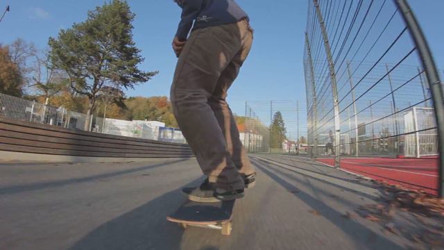 Dieter Gering - Lion Line / Sw Fs 180 Nollie Heel 5-0 смотреть онлайн