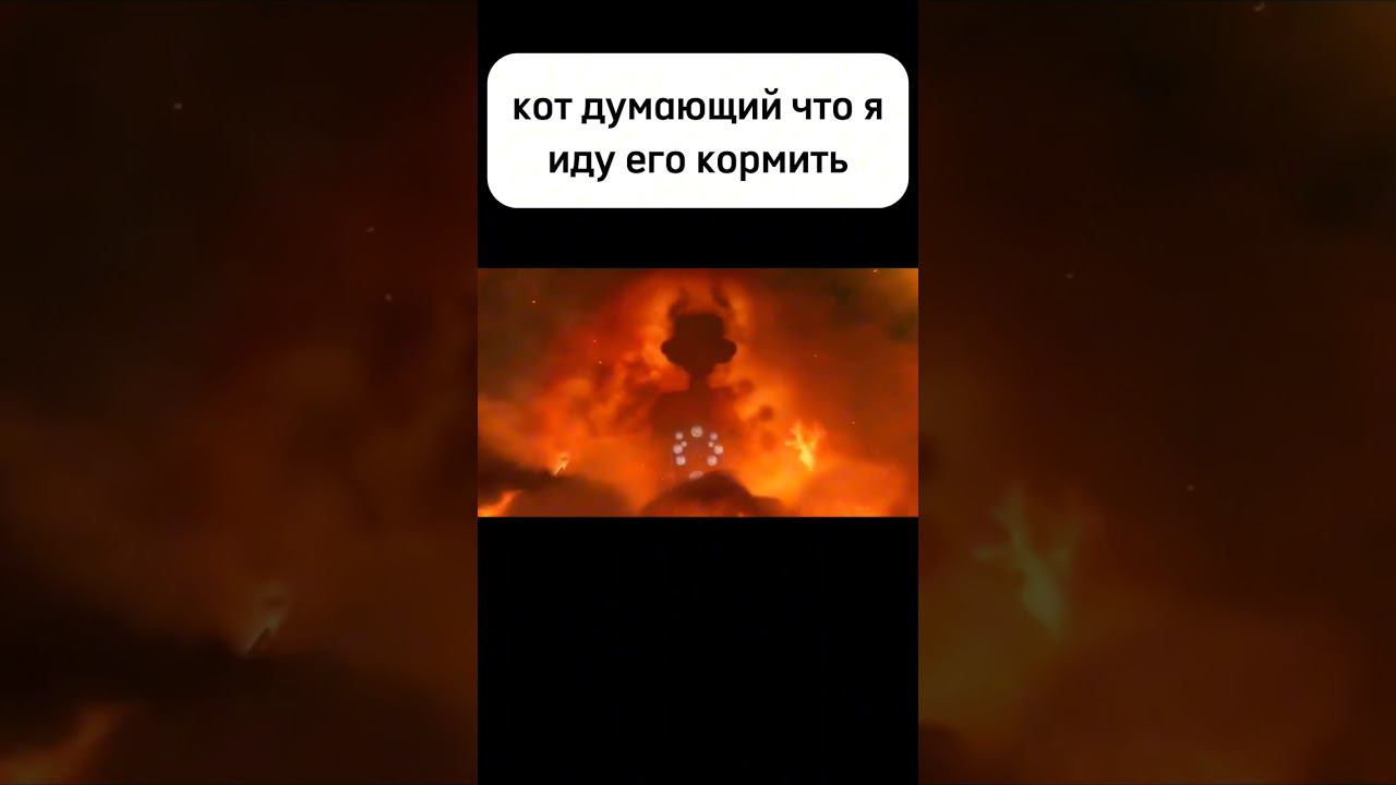 #жиза #мем #смешно #кот #кошачийкорм #приколы смотреть онлайн