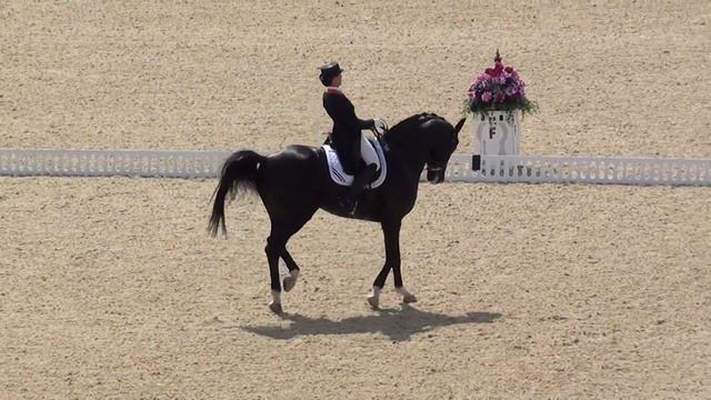 Anky Van Grunsven and Salinero - Kur London Olympics 2012 смотреть онлайн