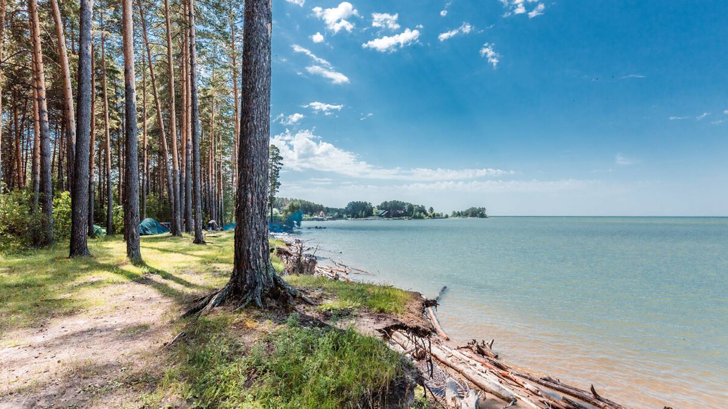 Бердск смотреть онлайн