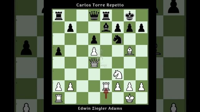 Edwin Ziegler Adams vs Carlos Torre Repetto-1920 #Greatest Chess Game Series #Match-15. #Full video смотреть онлайн