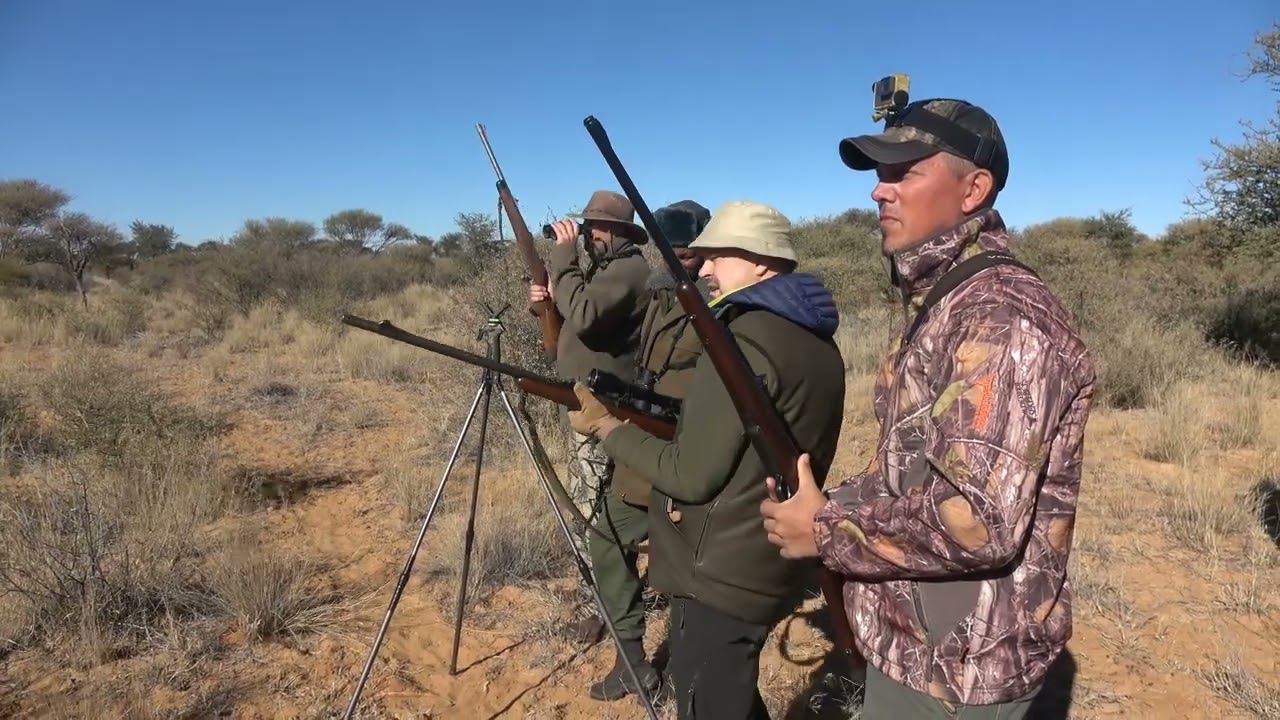 Охота на Льва и Буффало в ЮАР смотреть онлайн