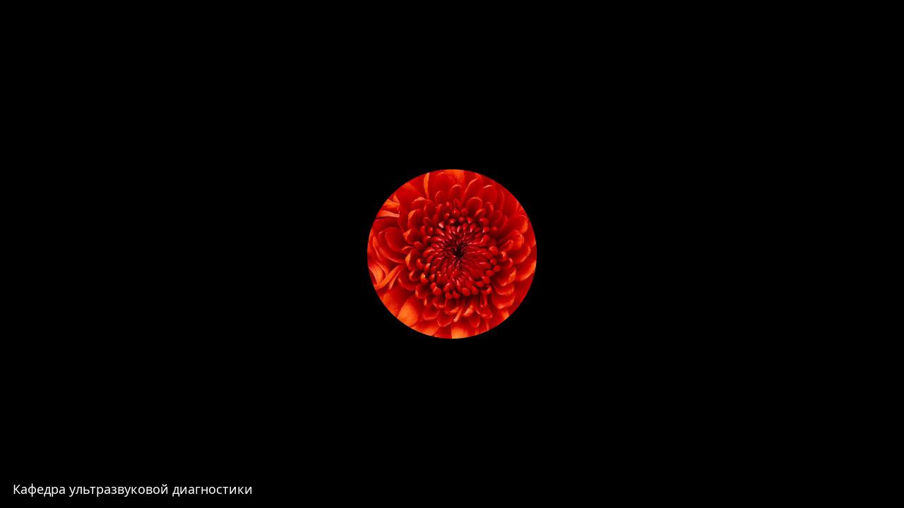 Лекция  Введение в УЗД  Часть 2 зав каф проф Неласов Н Ю