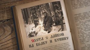 Охота с лайкой на белку и куницу