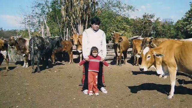 Lourdes Flores смотреть онлайн