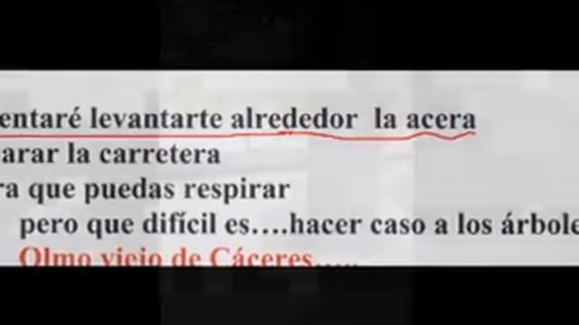 Cáceres con su Olmo Viejo. Matías Simón Villares. смотреть онлайн