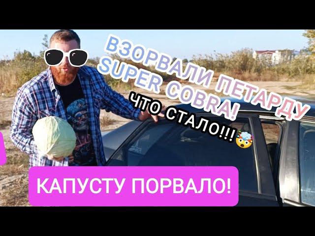 ВЗОРВАЛИ КАПУСТУ МОЩНОЙ ПЕТАРДОЙ / SUPER COBRA / ТЕСТ ПЕТАРД / ВЗОРВАЛИ ПЕТАРДУ В ЯМЕ / #пиротехника смотреть онлайн