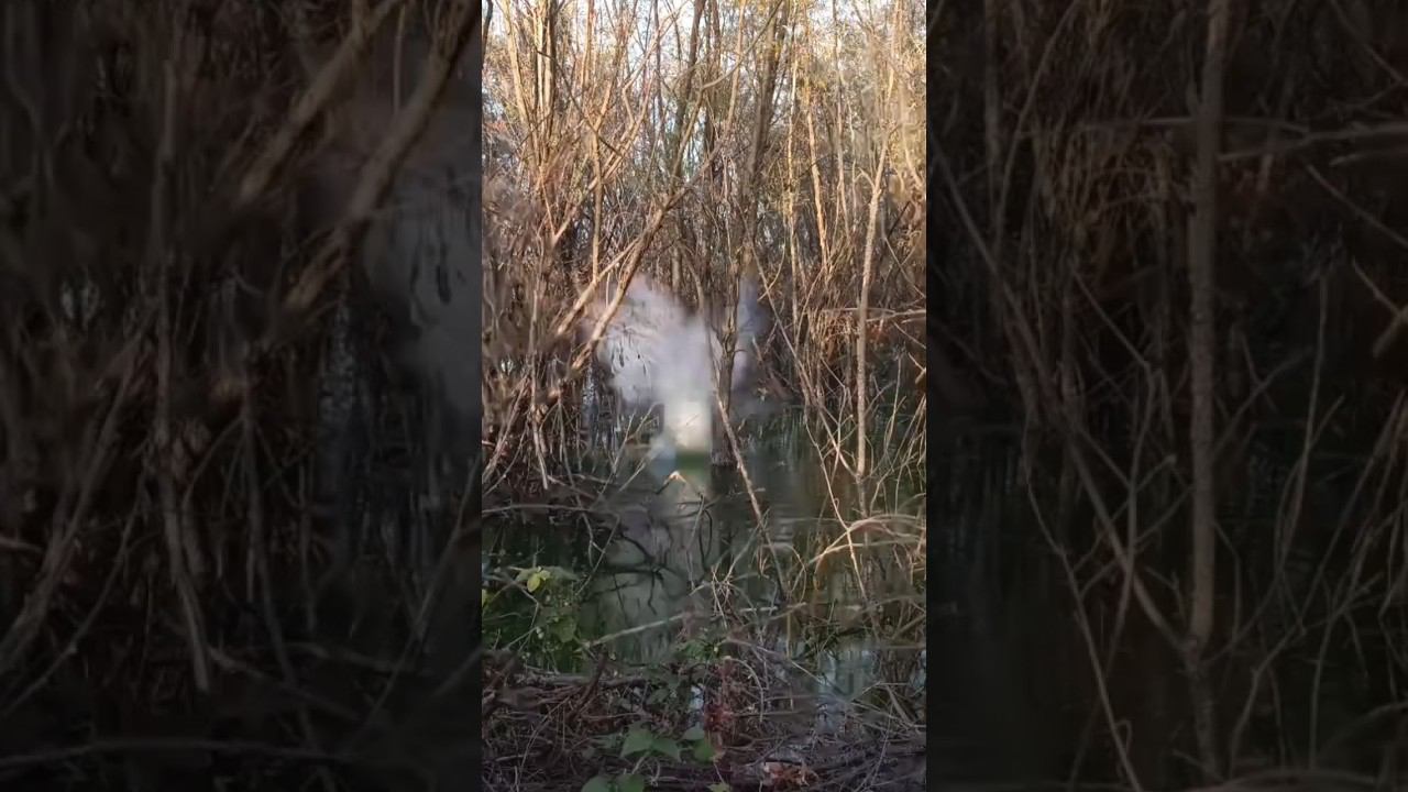 ВЗОРВАЛ САМУЮ МОЩНУЮ ПЕТАРДУ Z В ВОДЕ #пиротехника #петарда #топ #рекомендации смотреть онлайн