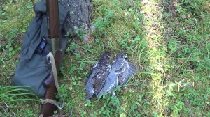 ОХОТА НА РЯБЧИКА С МАНКОМ.  Сентябрь 2024г.