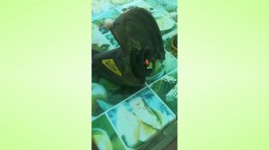 Пластиковые хомуты вместо лески на электротриммере. Испытываем на себе.