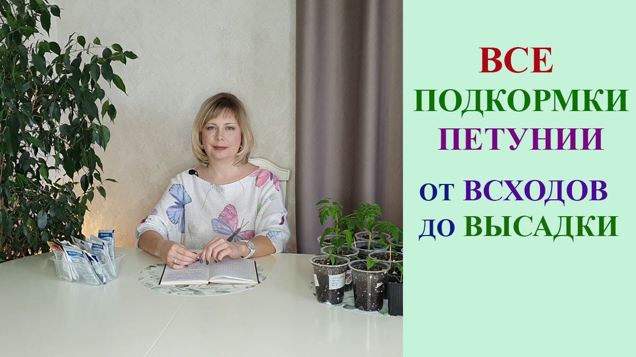 СХЕМА ПОДКОРМОК ПЕТУНИИ ОТ ВСХОДОВ ДО ВЫСАДКИ НА ПОСТОЯННОЕ МЕСТО И ВЕСЬ СЕЗОН. смотреть онлайн