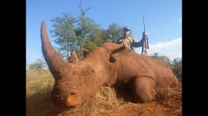Охота на носорога