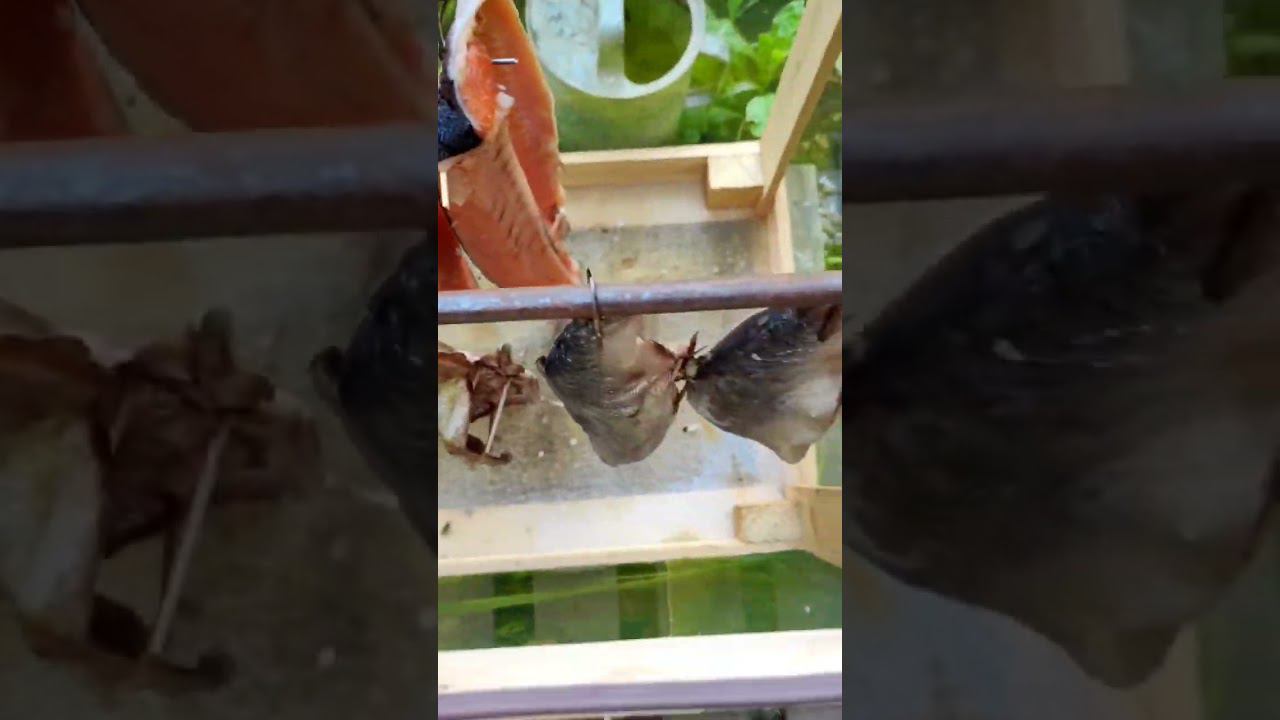 29 сентября 2023 г. смотреть онлайн