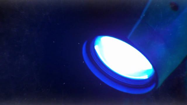 Репортаж с концерта манга-поп певицы Катрин в клубе «Руки Вверх»! смотреть онлайн