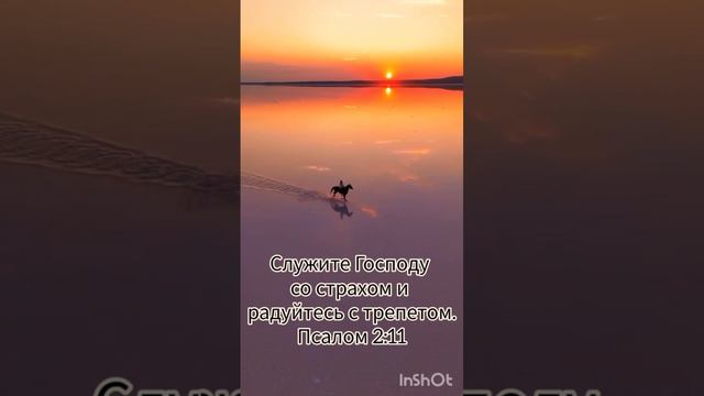 Доброй ночи 🌙 🌙 🌙 смотреть онлайн