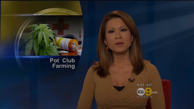 Leyna Nguyen 2011/09/15 9PM KCAL9 HD; Tight tan top смотреть онлайн