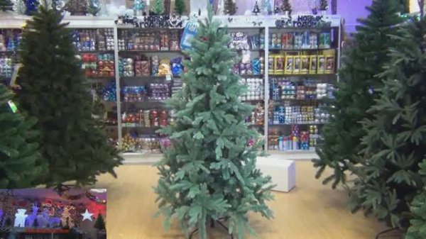 Green Trees Ель Rosso Premium, видеообзор