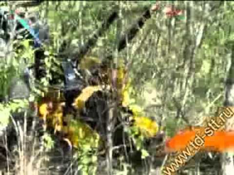 Orsi W-forrest 1400 смотреть онлайн