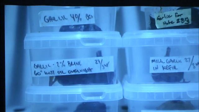 René Redzepi And David Zilber | The Noma Guide To Fermentation