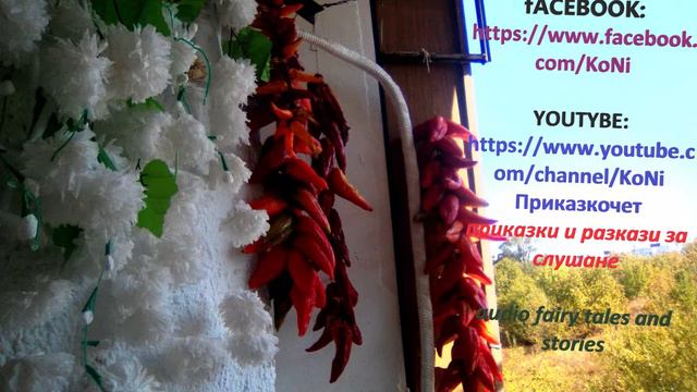 ИВАН ВАЗОВ "ПАВЛЕ ФЕРТИГЪТ", изп Корнелия Николова /#KoNiприказкочетChannel /разкази смотреть онлайн