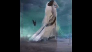 Хусейн Бетельгериев - Безамах илли ♪