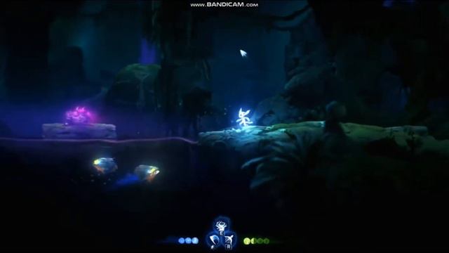 гонки № Ori and the Will of the Wisps 2 смотреть онлайн