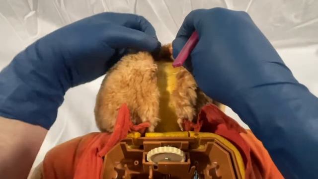 Repairing A Teddy Ruxpin смотреть онлайн