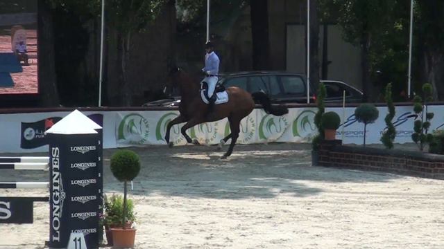 Stefan Eder & Inowe P, Budapest CSIO***W, Young Horse Tour Final смотреть онлайн