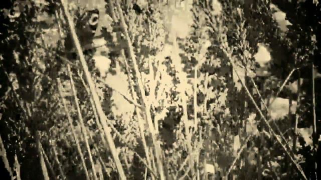 CHOPIN & SMENDZIANKA & ROWICKI / OSFN: KONCERT e-moll: Allegro Maestoso. Lato 2020 (w sepii) смотреть онлайн