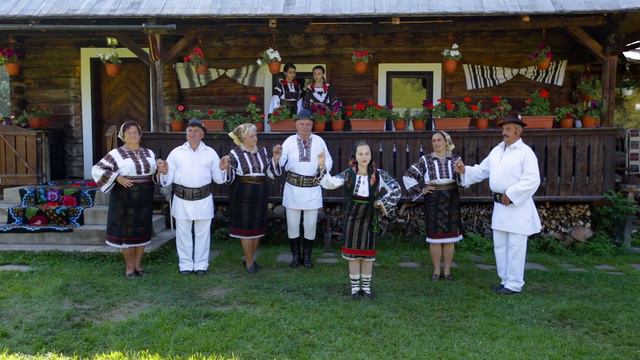 Silvia Diana Hrihor - Bradanas cu creanga verde смотреть онлайн