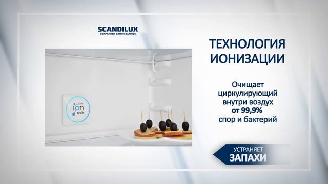 Обзор холодильника Scandilux R 711 EZ 12 W смотреть онлайн