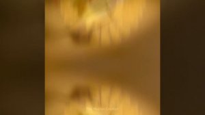 36days of type 2022 - A to Z Alphabets Animation