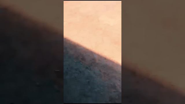 Презентация нашего партнера компании «Трой