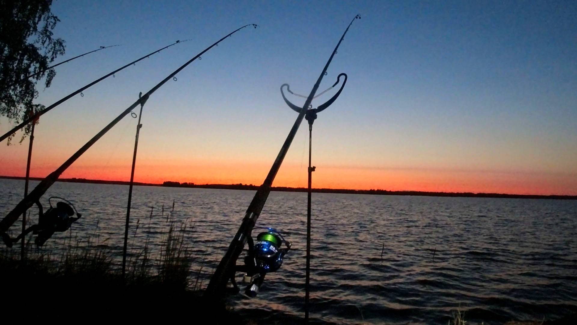 Ловля Леща На Сильном Течении При Сильном Ветре! Рыбалка С Ночевкой На Волге.